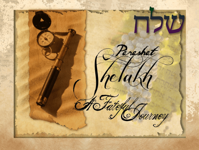 Parashah 37 Shelakh Lekha