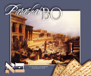 Parashah 15 Bo