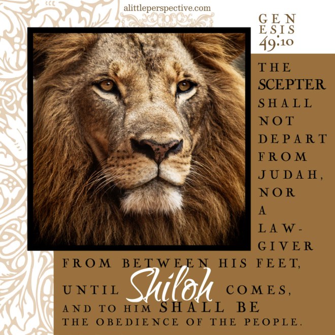 gen-49-10-unsplash-9x